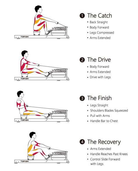 rowing good exercise for arms and legs